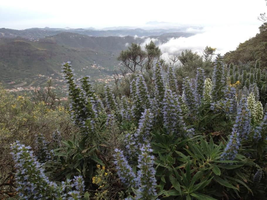 Holiday home Tenteniguada Enjoy Nature
