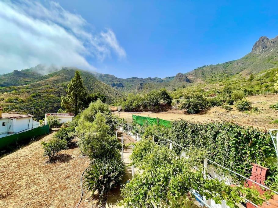 Tenteniguada Enjoy Nature Holiday home Las Palmas de Gran Canaria